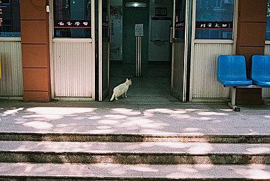 Telltale将会在明年公布新作 《我们身边的狼2》的详细信息