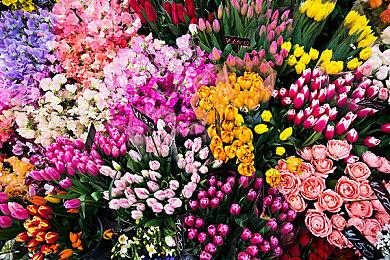 《刺客信条：影》真人宣传片 男女主角还原度高